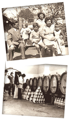 Fam�lia Dall&rsquo;Armi